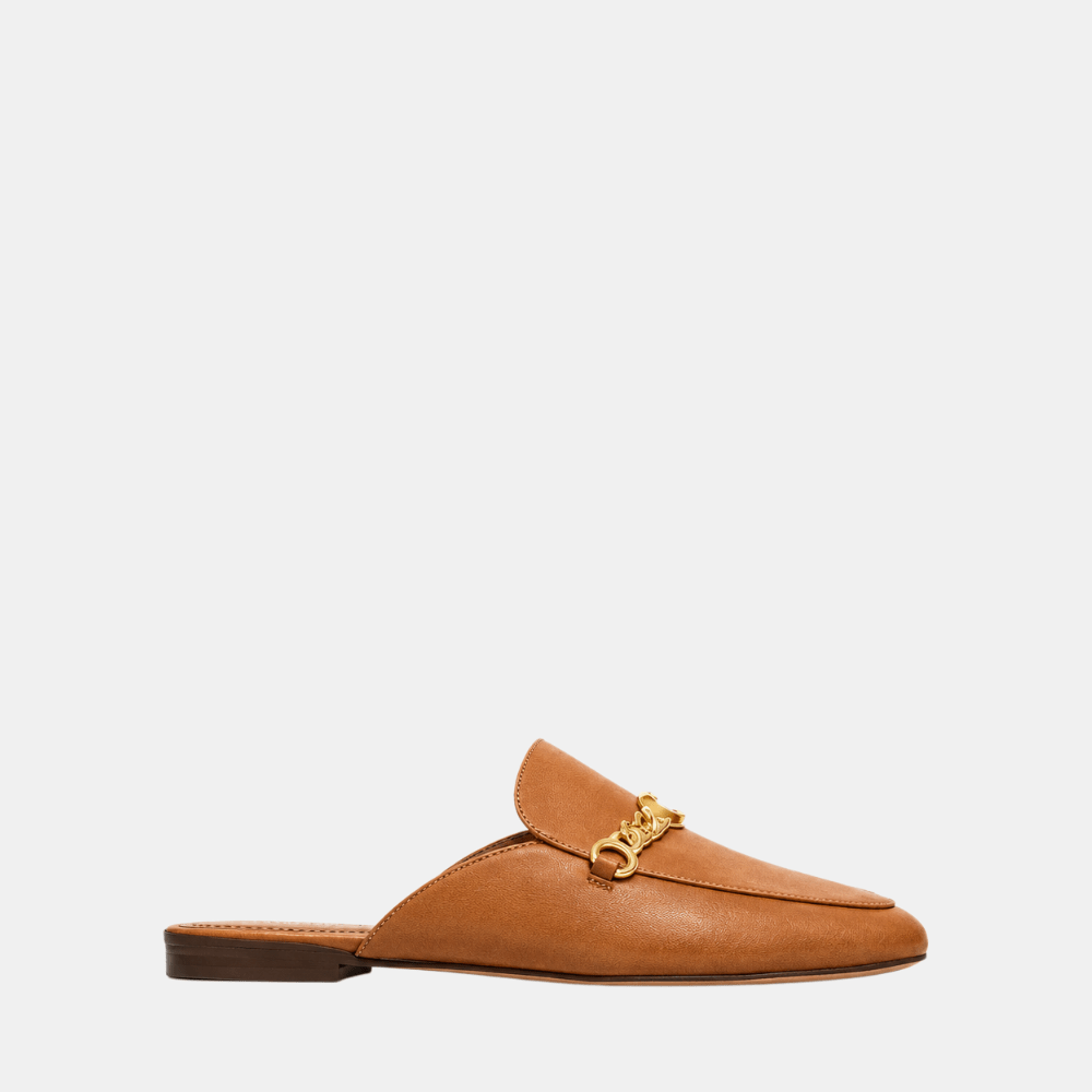 Buy Coach Sofi Slides (Brown) in Pakistan