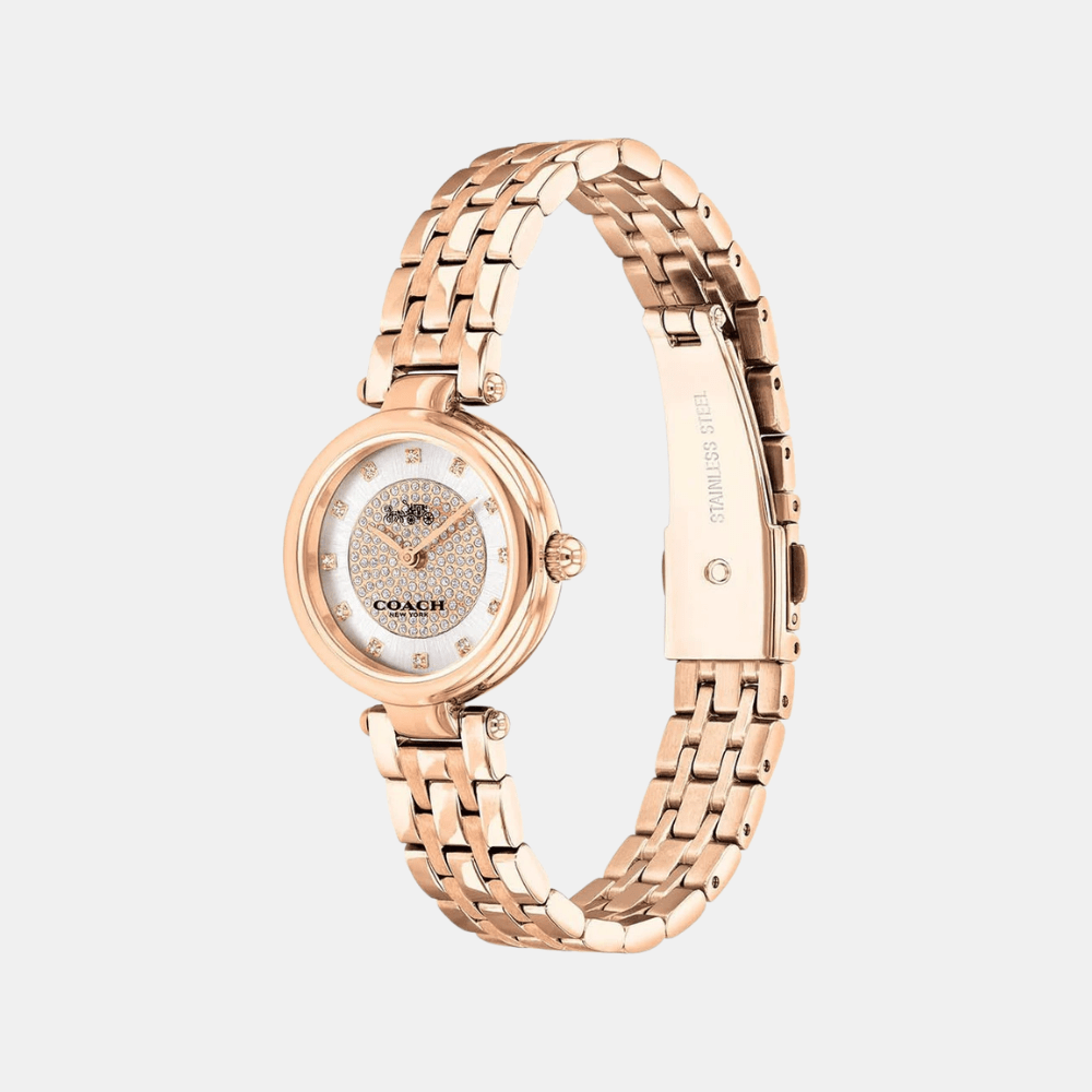 Buy Coach Park Watch 14503736 in Pakistan