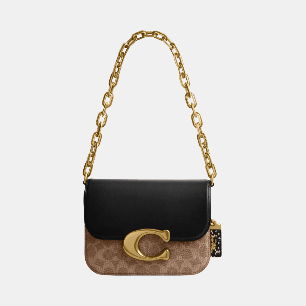 Buy Coach Idol Bag In Signature Canvas With Snakeskin Detail in Pakistan