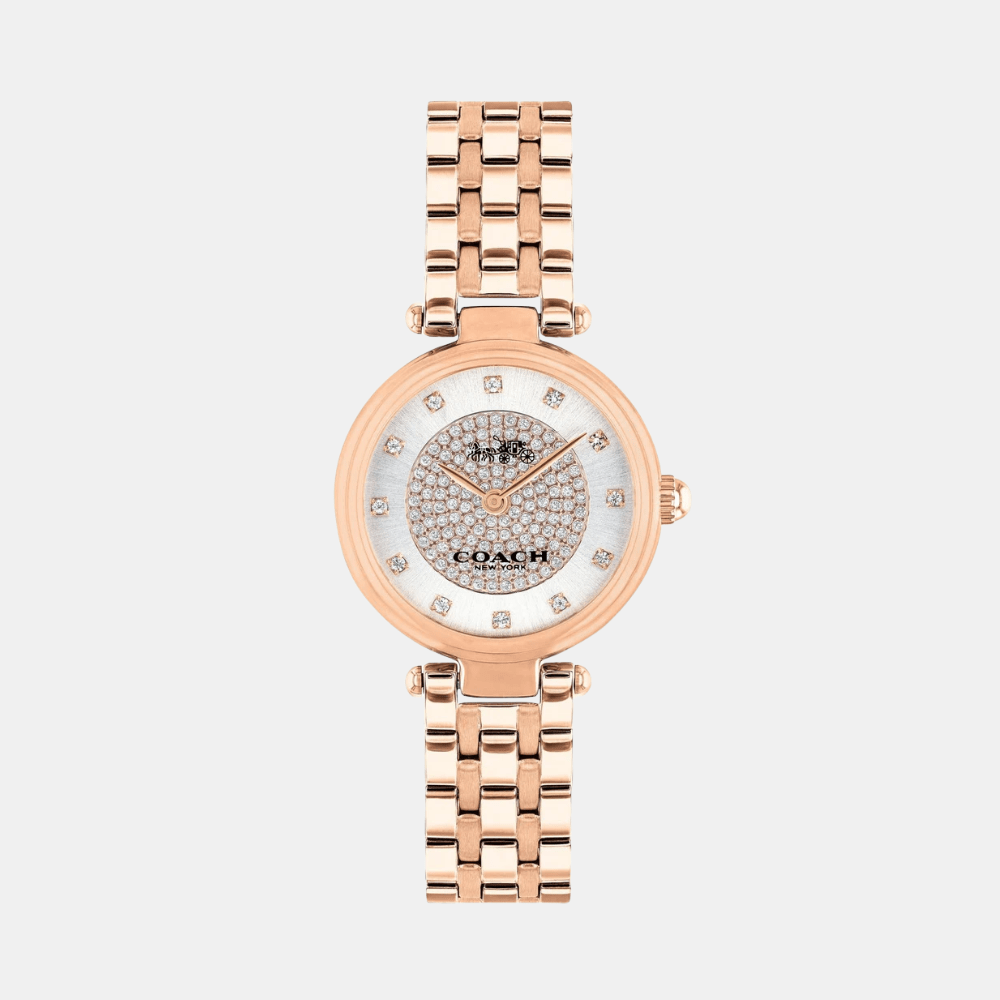 Buy Coach Park Watch 14503736 in Pakistan