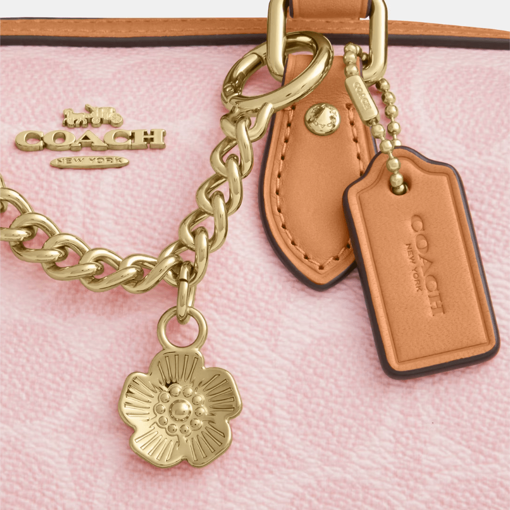 Buy Coach Mini Rowan Crossbody Bag In Signature Canvas With Charms in Pakistan