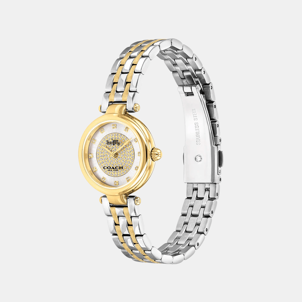 Buy Coach Park Watch 14503643 in Pakistan