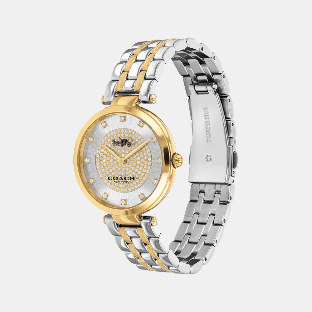 Buy Coach Park Watch 14503645 in Pakistan