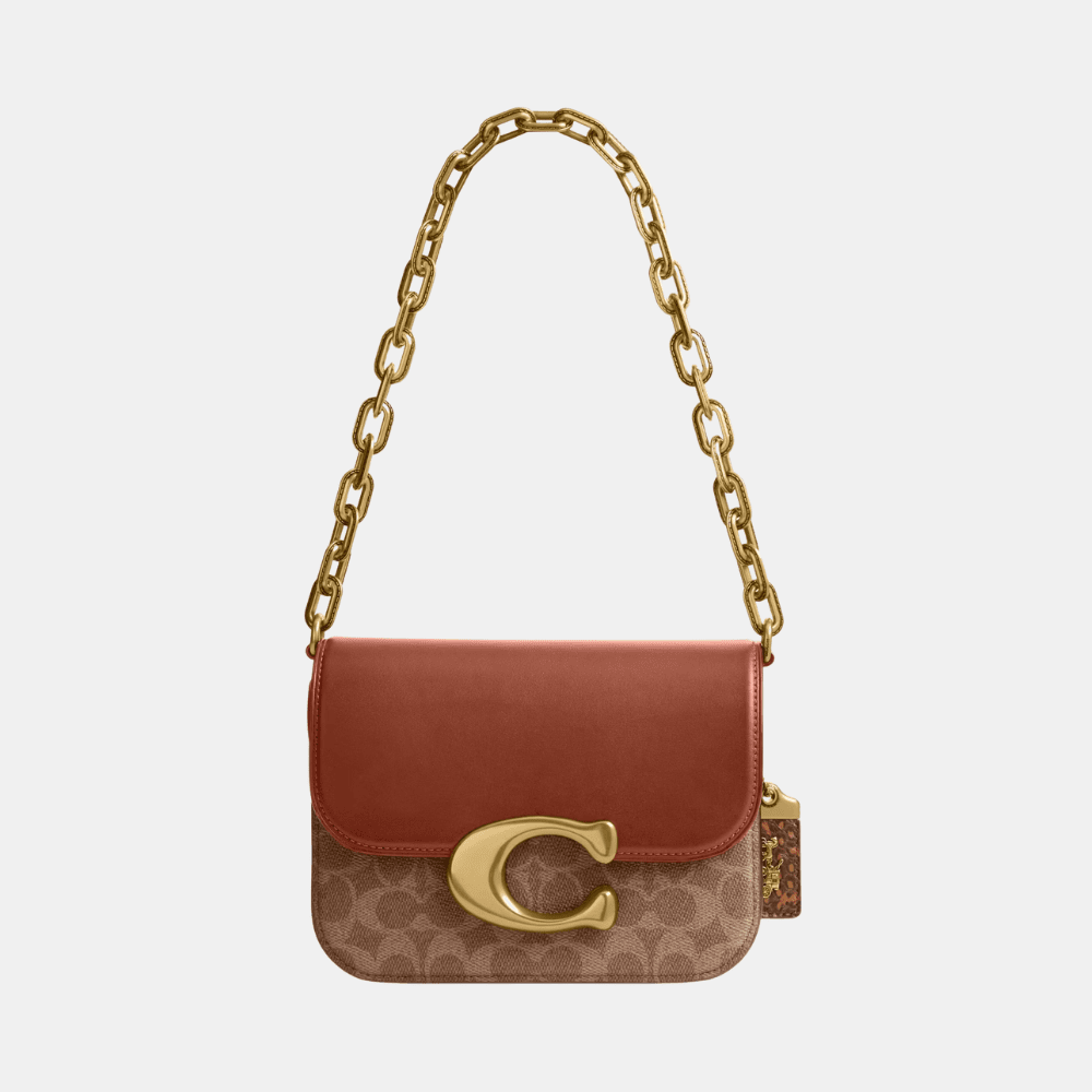 Buy Coach Idol Bag In Signature Canvas With Snakeskin Detail in Pakistan