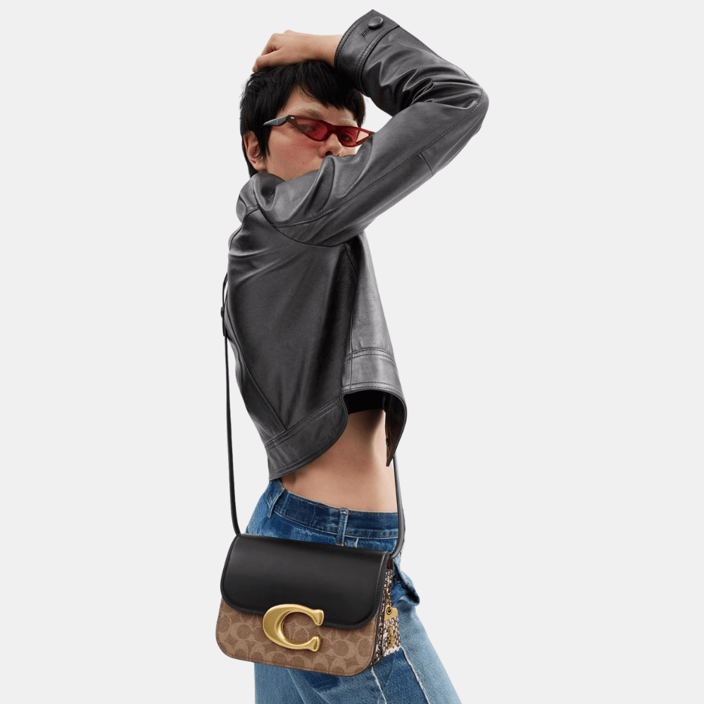 Buy Coach Idol Bag In Signature Canvas With Snakeskin Detail in Pakistan