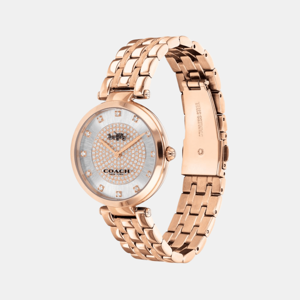 Buy Coach Park Watch 14503735 in Pakistan