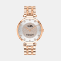 Buy Coach Park Watch 14503735 in Pakistan
