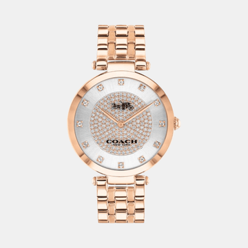 Buy Coach Park Watch 14503735 in Pakistan