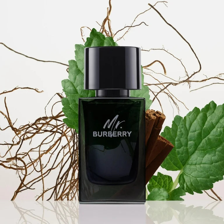 Buy Burberry Mr Burberry For Men Edp 150ml in Pakistan