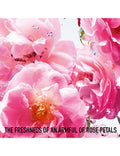 Buy Christian Dior Miss Rose N Roses EDT for Women - 100ml in Pakistan