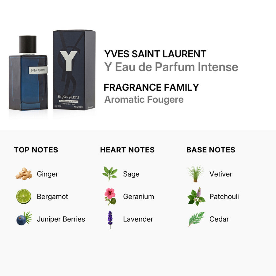 Buy Yves Saint Laurent Y Intense Men Edp 100Ml in Pakistan