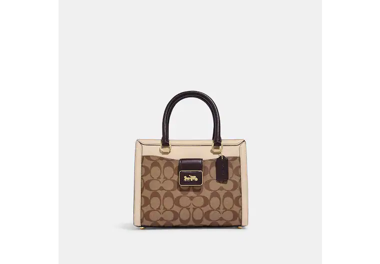 Buy Coach Grace Carryall In Signature Canvas Small Bag in Pakistan