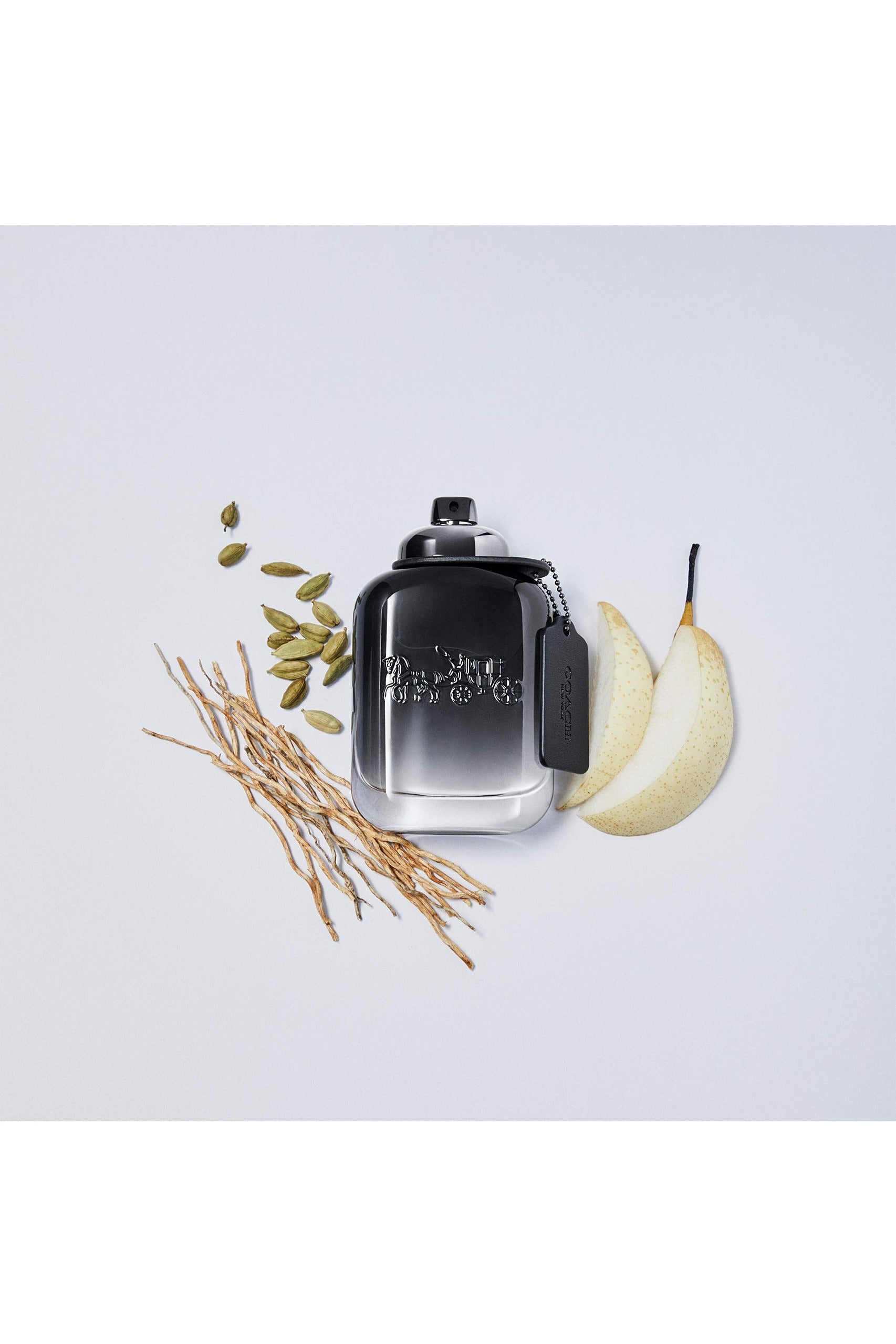 Buy Coach New York Men EDT - 100ml in Pakistan
