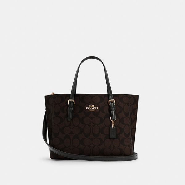 Buy Coach Mollie Tote In Signature Canvas In Chalk Small Bag in Pakistan