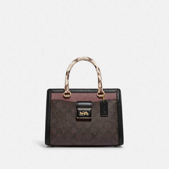 Buy Coach Grace Carryall In Signature Canvas Small Bag in Pakistan