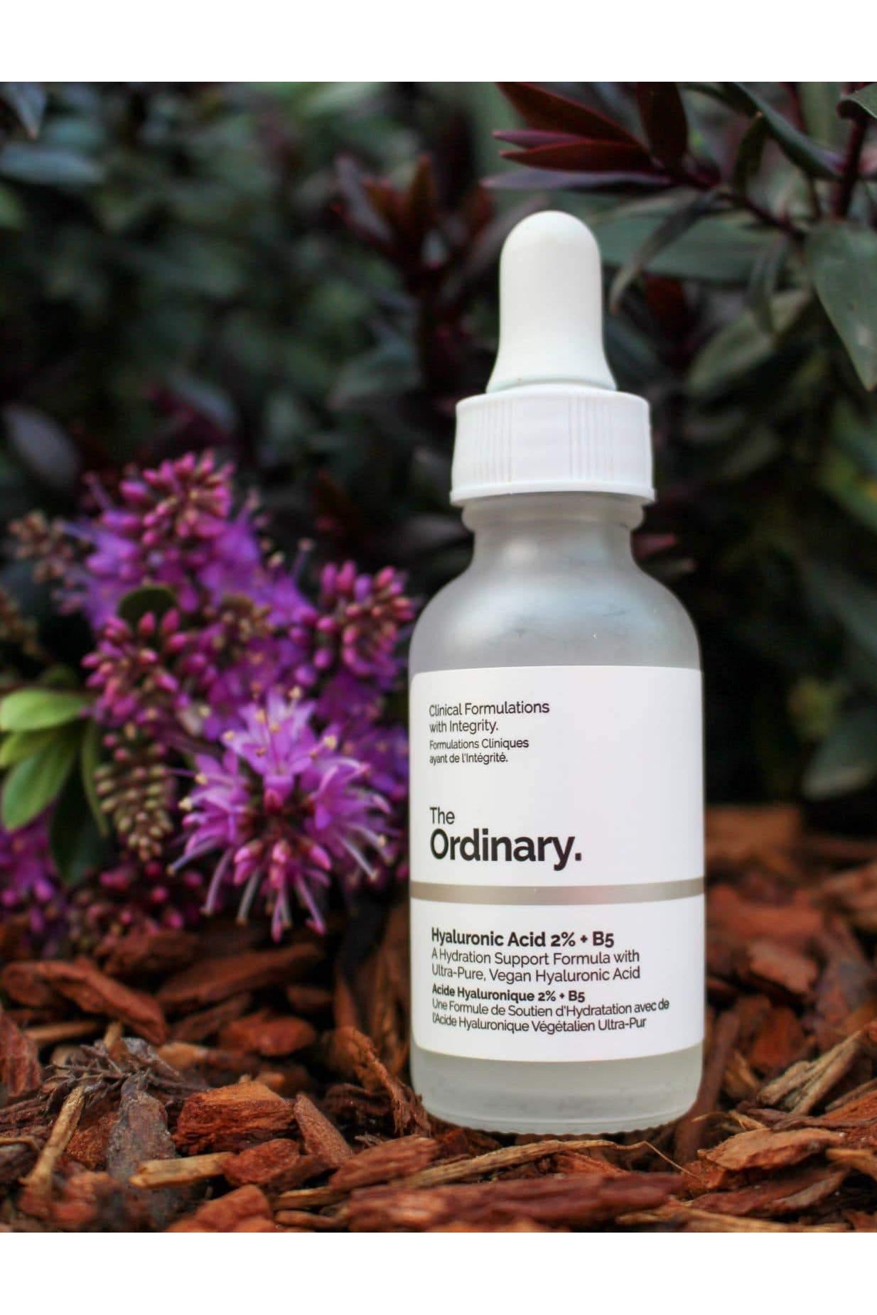 Buy Ordinary Hyaluronic Acid 2% + B5 in Pakistan
