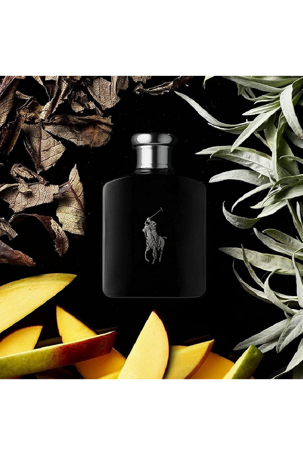 Buy Ralph Lauren Polo Black Men EDT - 125ml in Pakistan