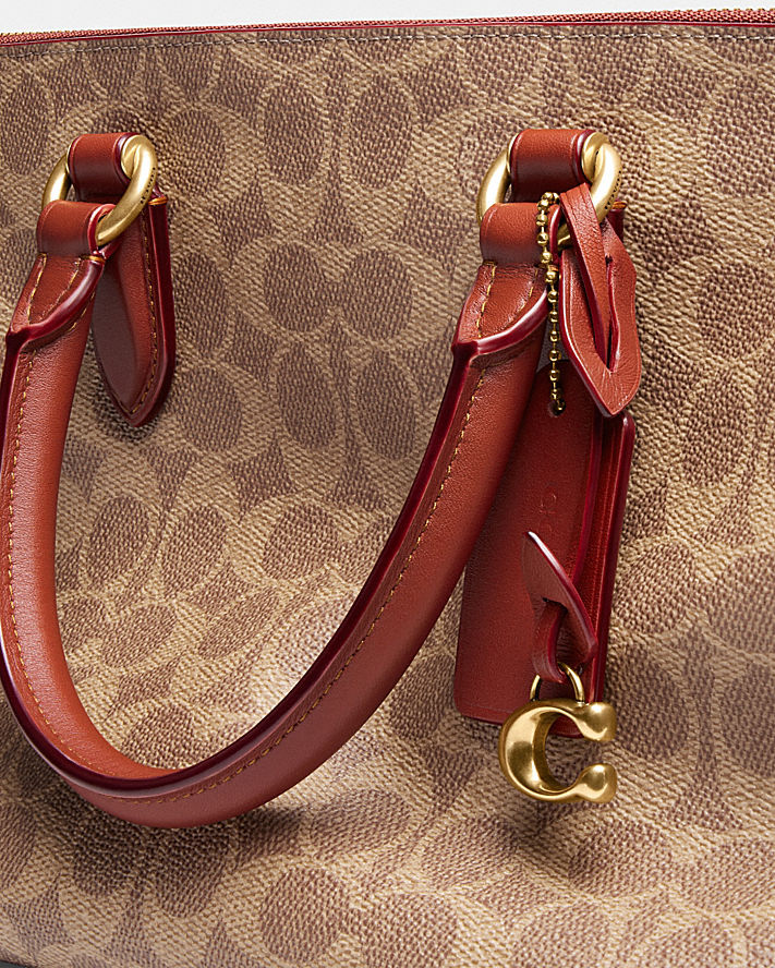 Buy Coach Pillow Cara Soft Pebble Leather Crossbody Satchel Small Bag in Pakistan