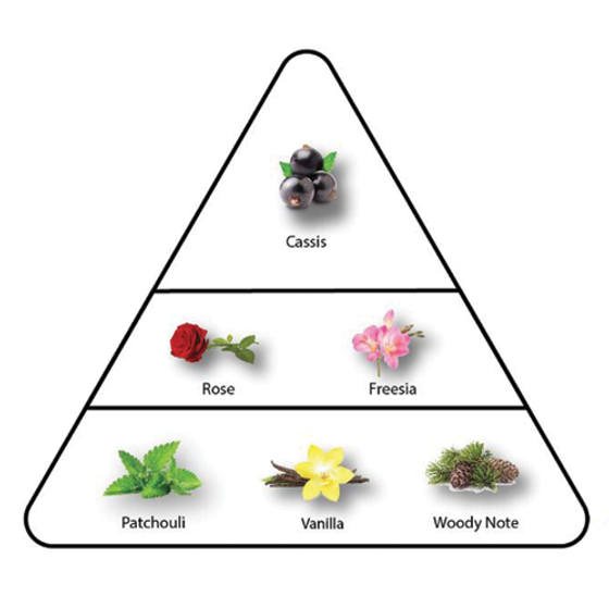 Buy Miriam Marvel's For Women Eau De Perfume La Reine 75ml. in Pakistan