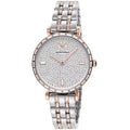 Buy Emporio Armani Women's Analog Stainless Steel Silver Dial 32mm Watch AR11293 in Pakistan