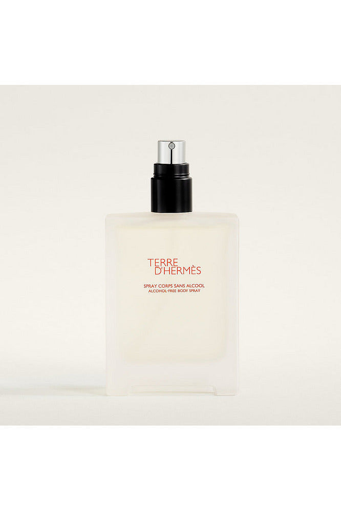 Buy Hermes Terre D Hermes Alcohol Free Body Spray Men - 100ml in Pakistan